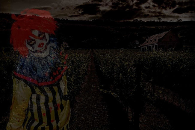 Schaefer Farms Farm or Horrors